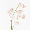 Sweet Pea Spray |  Soft Pink