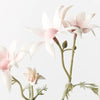 Flannel Flower Pick | Light Pink