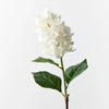Hydrangea Cone | White