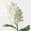 Hydrangea Cone | White