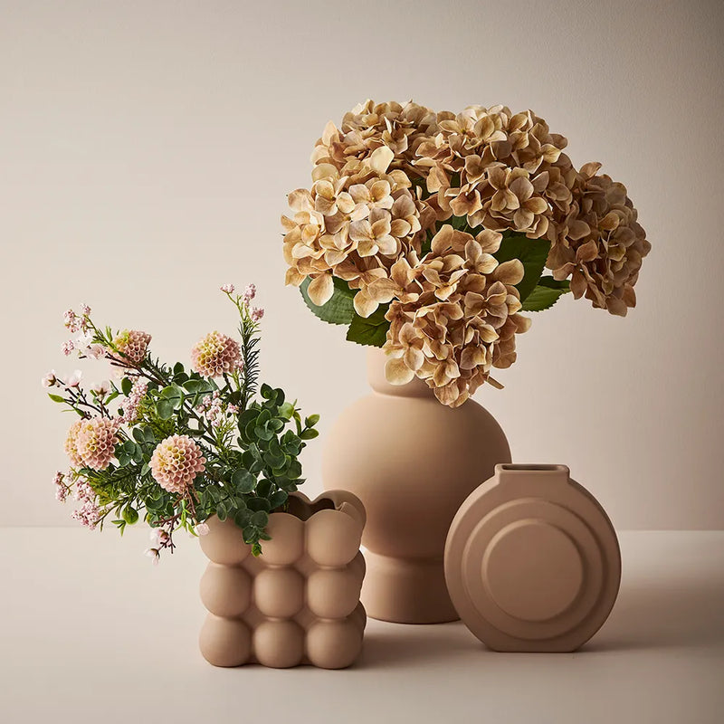 Hydrangea Bush | Coffee