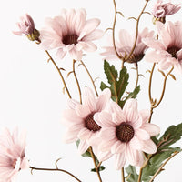 Daisy Spray Dusty Pink