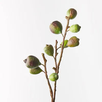 Fig Spray | Green