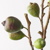 Fig Spray | Green