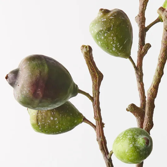 Fig Spray | Green