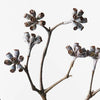 Eucalyptus Seed Spray | Brown Wash