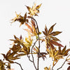 Japanese Maple Leaf Spray | Green Burgundy