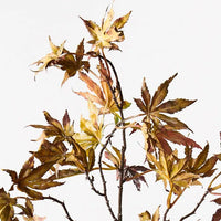 Japanese Maple Leaf Spray | Green Burgundy