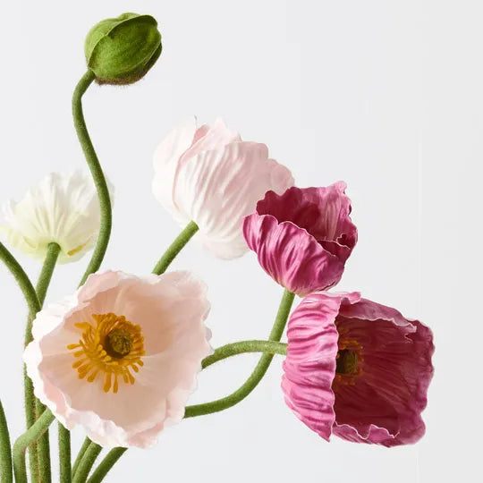 Poppy Mixture Poppy Mix in Vase – Whatever Mudgee