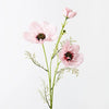 Coreopsis Spray | Light Pink