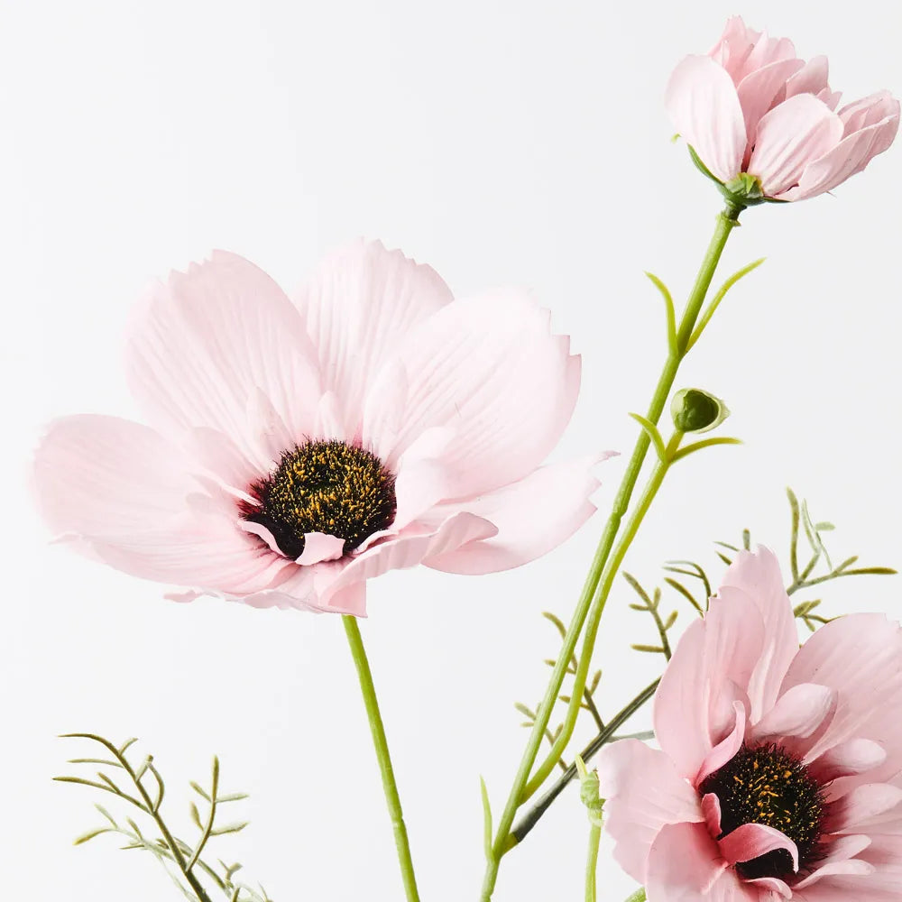 Coreopsis Spray | Light Pink