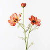 Coreopsis Spray | Orange