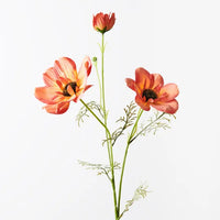 Coreopsis Spray | Orange
