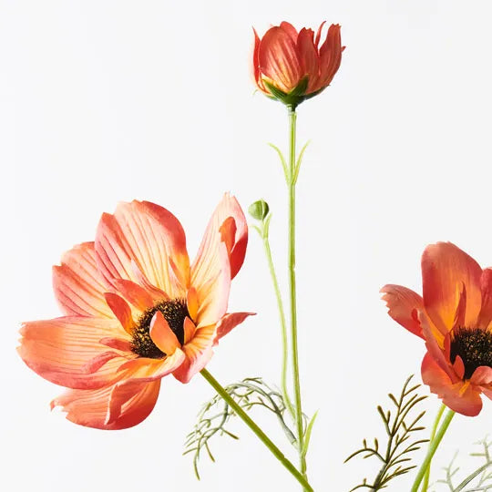 Coreopsis Spray | Orange