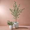 Pot Silos | White