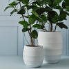 Pot Silos | White