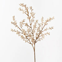Wattle Spray | Natural