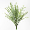 Rosemary Bush | Grey Green