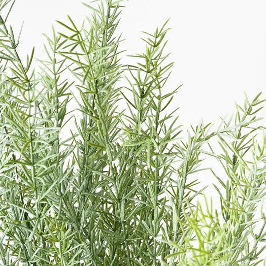 Rosemary Bush | Grey Green