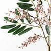Berry Spray | Pink Green