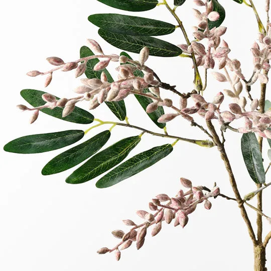 Berry Spray | Pink Green