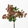 Sedum Bouquet | Brown