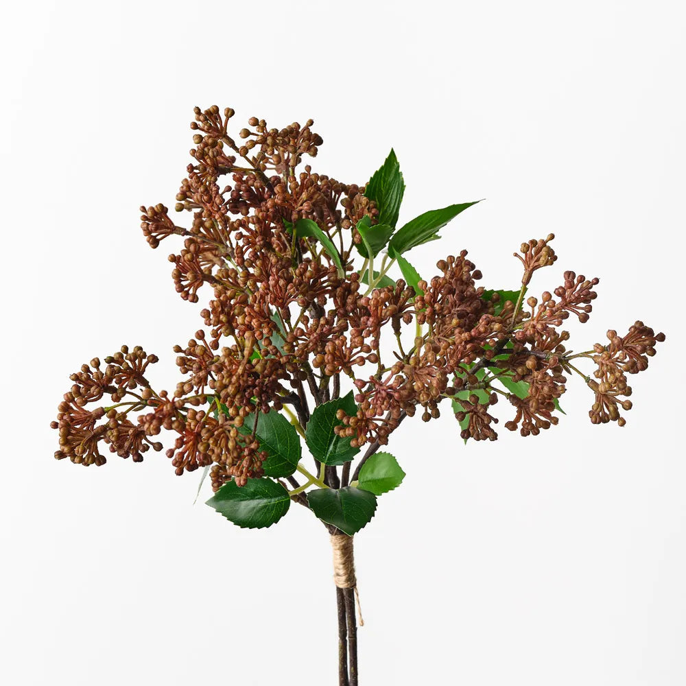 Sedum Bouquet | Brown