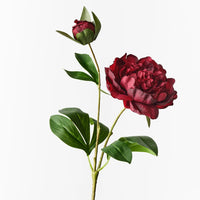 Peony Spray | Burgundy