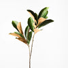 Magnolia Leaf Spray | Green