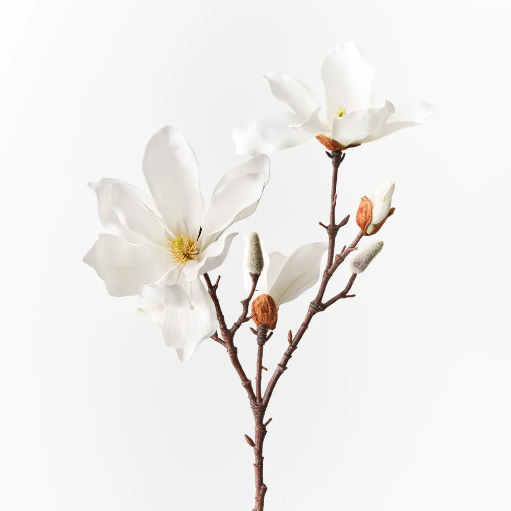 Japanese Magnolia Spray | White