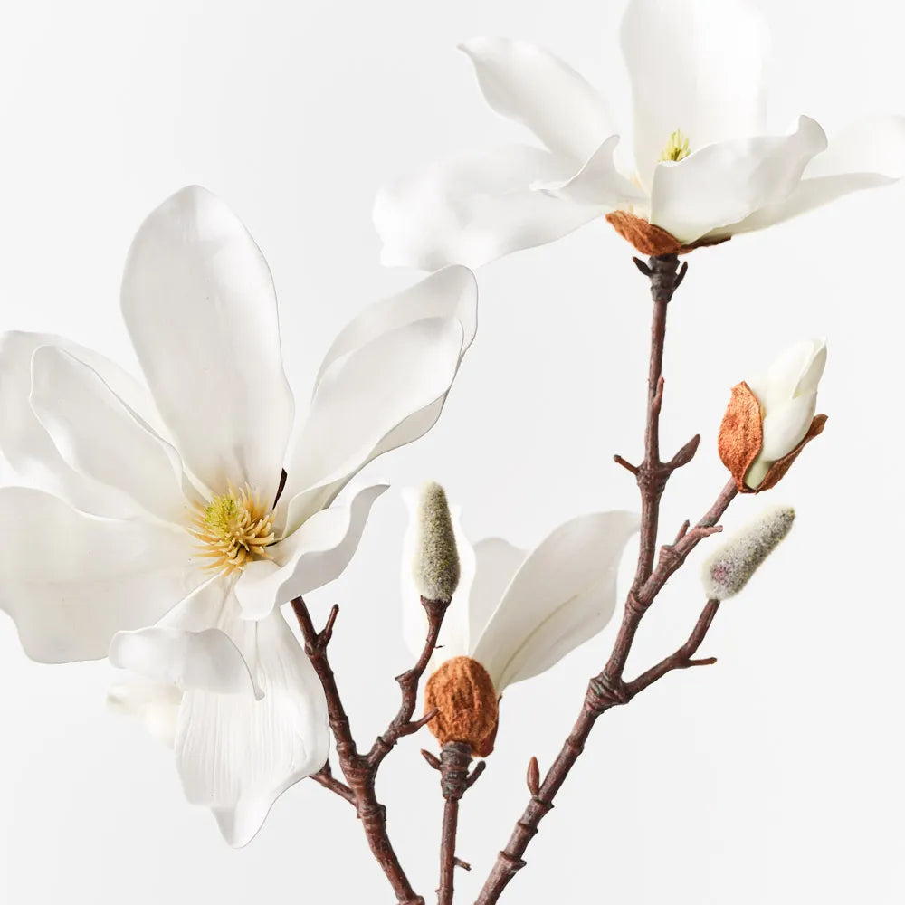 Japanese Magnolia Spray | White