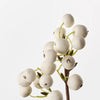 Berry Spray | White