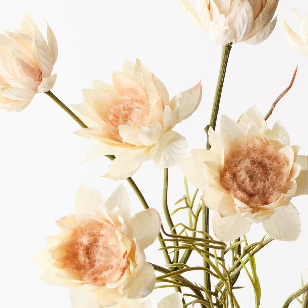 Blushing Bride Spray Cream