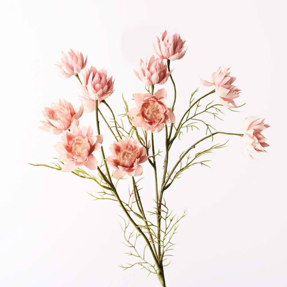 Blushing Bride Spray Dusty Pink