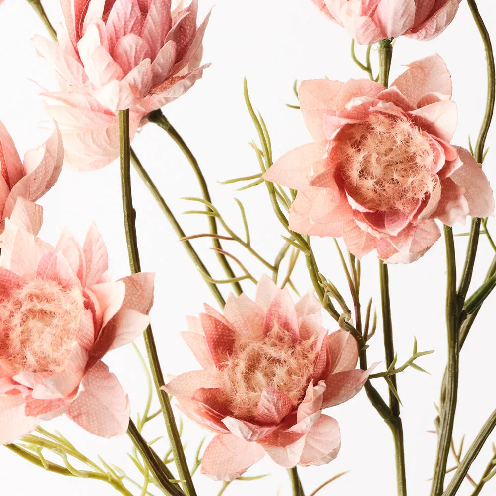 Blushing Bride Spray Dusty Pink