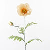 Poppy Iceland Spray | Peach