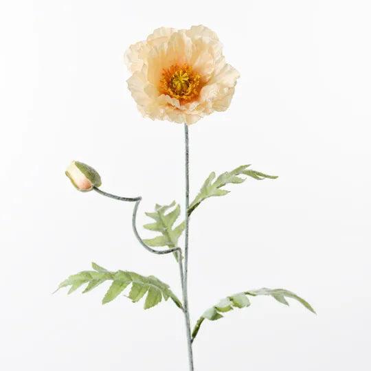 Poppy Iceland Spray | Peach