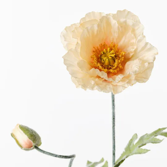 Poppy Iceland Spray | Peach