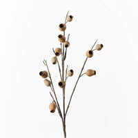 Eucalyptus Pod Spray