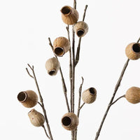 Eucalyptus Pod Spray