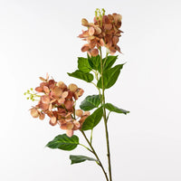 Hydrangea Spray | Rust