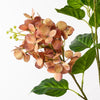 Hydrangea Spray | Rust