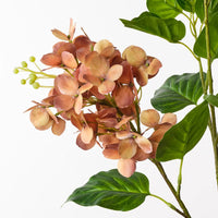 Hydrangea Spray | Rust