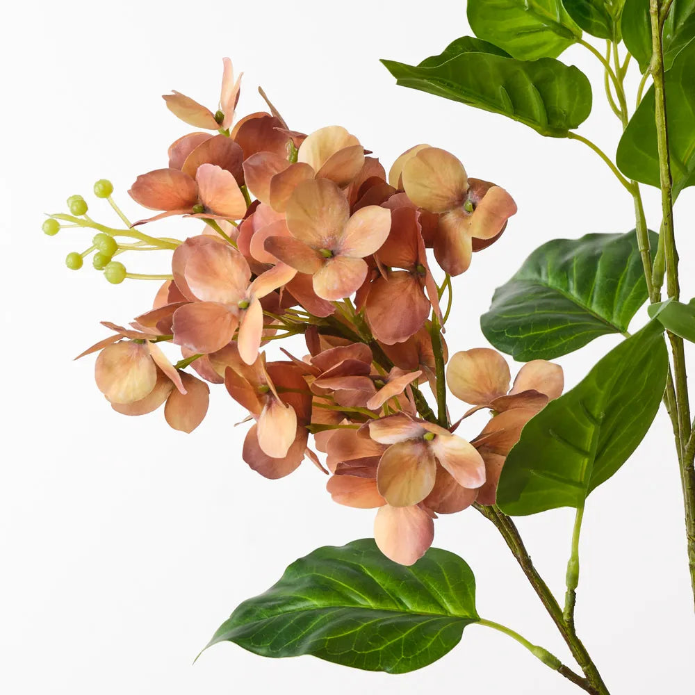 Hydrangea Spray | Rust