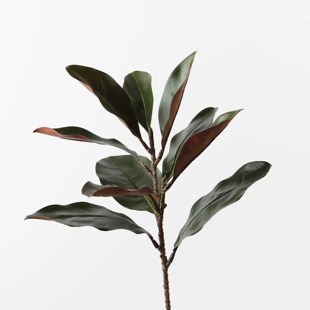 Magnolia Leaf Spray