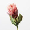 Protea Queen | Pink