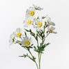 Daisy Crown Spray