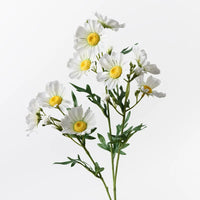 Daisy Crown Spray