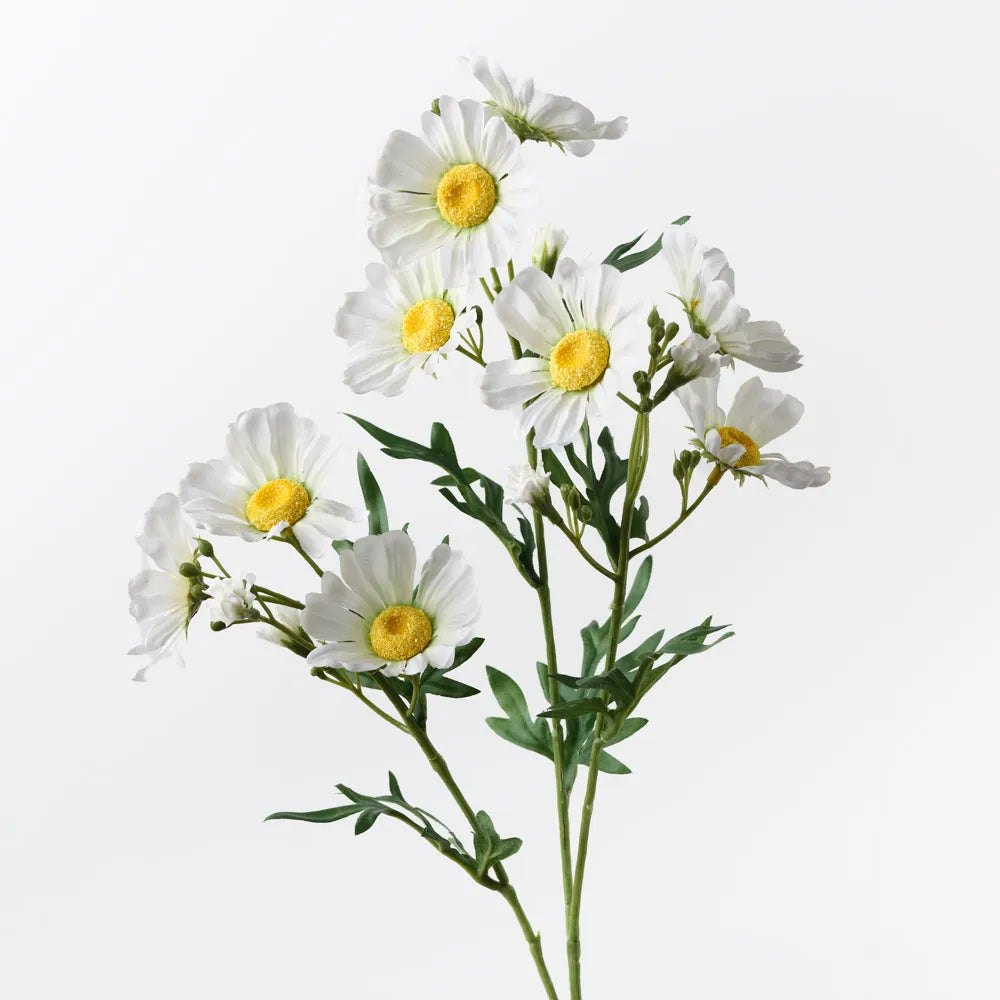 Daisy Crown Spray