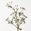 Berry Spray | Green